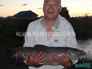 青鱼视频在线播放国产剧情po,青鱼视频独家呈现的精彩瞬间